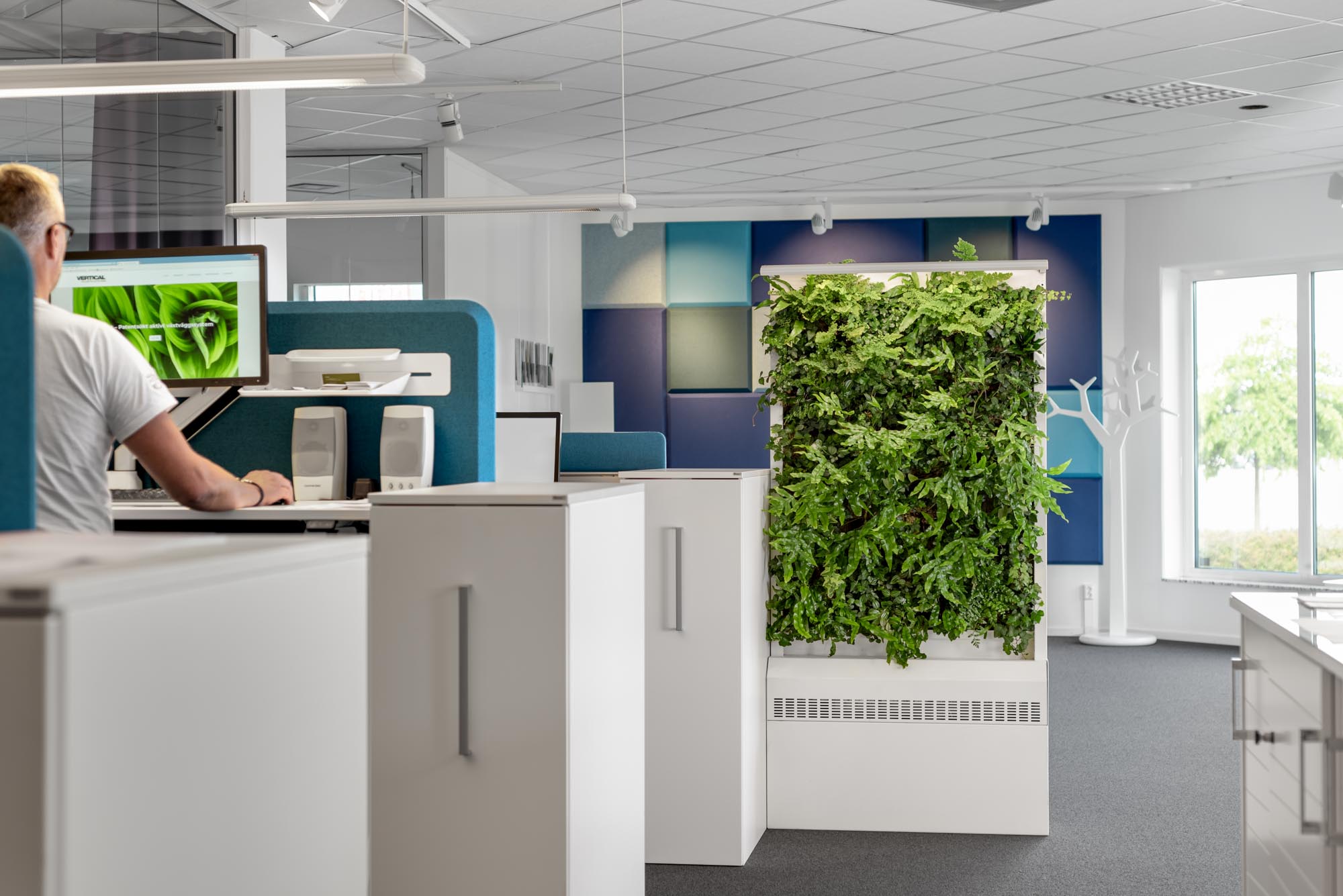 Vertical Plants System har inrett Kinnarps kontor i Norrköping med växtintredning och växtväggar