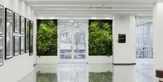 Inbygdda växtväggar från Vertical Plants System på DNs kontor
