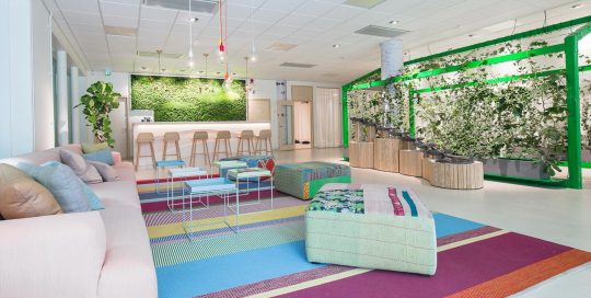 Växtinredning och en active plant screen på Holistics kontor i Norrköping