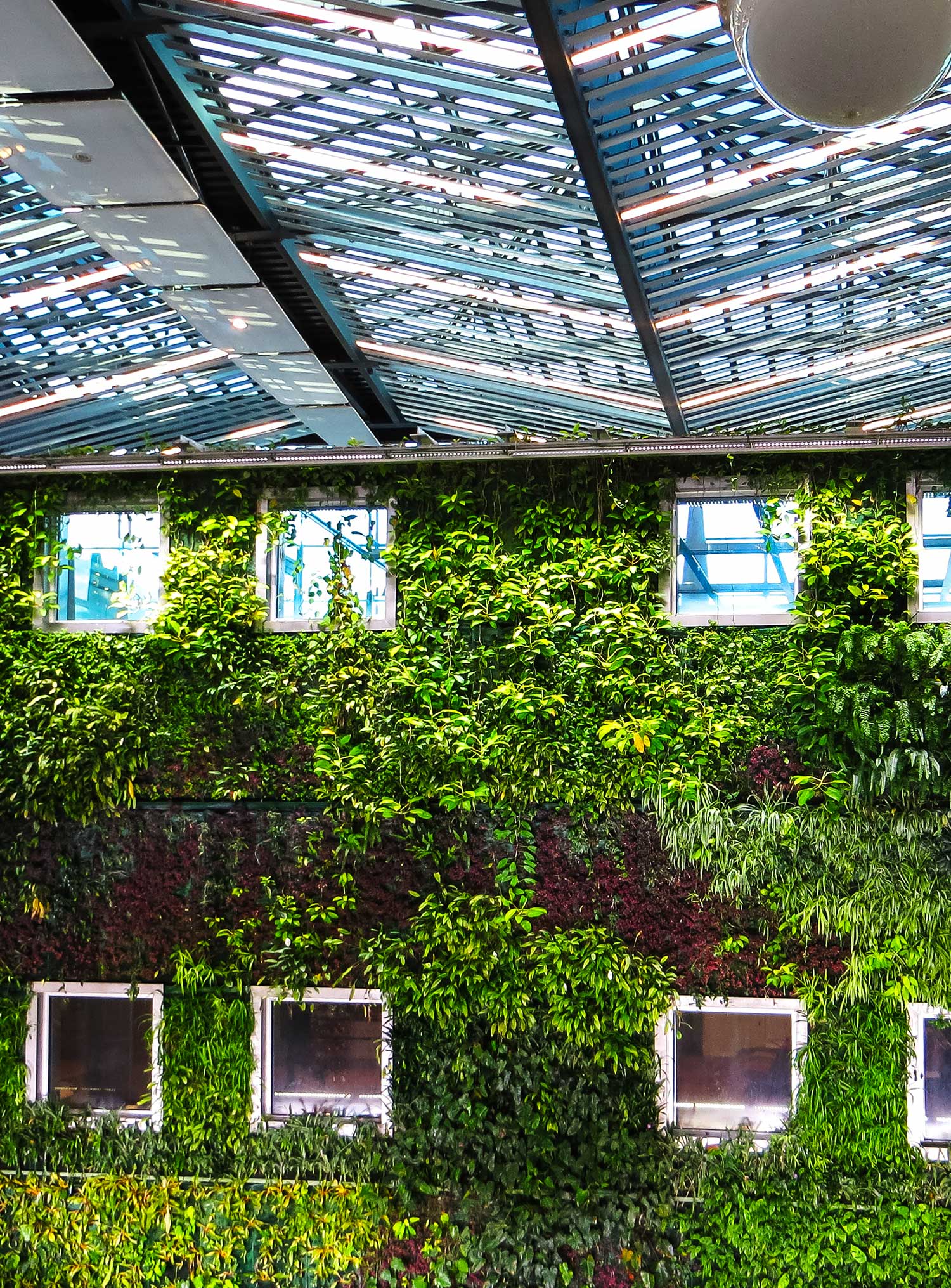 plants-on-outside-wall Växter på utsidan av en byggnad