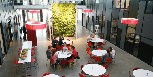 Stor växtvägg från Vertical Plants System hos studentlitteratur i Lund