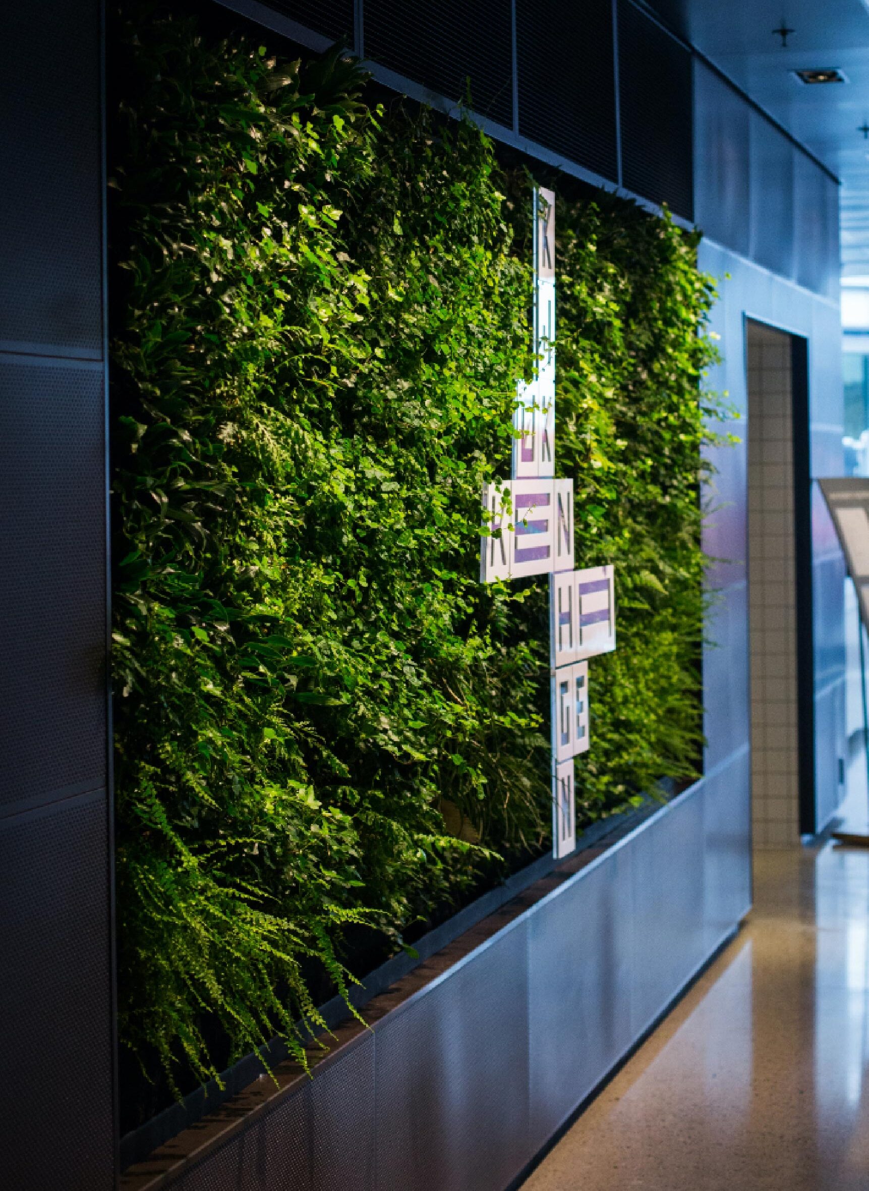 En grön plant screen på Norwegian Property i Olso